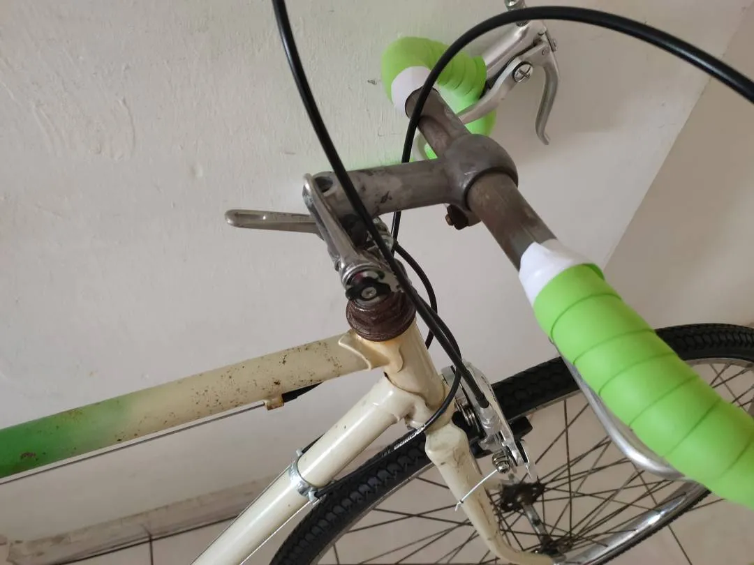 Vintage Classic Old school steel Road bike