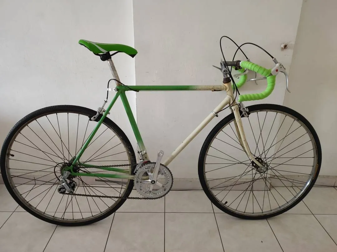 Vintage Classic Old school steel Road bike