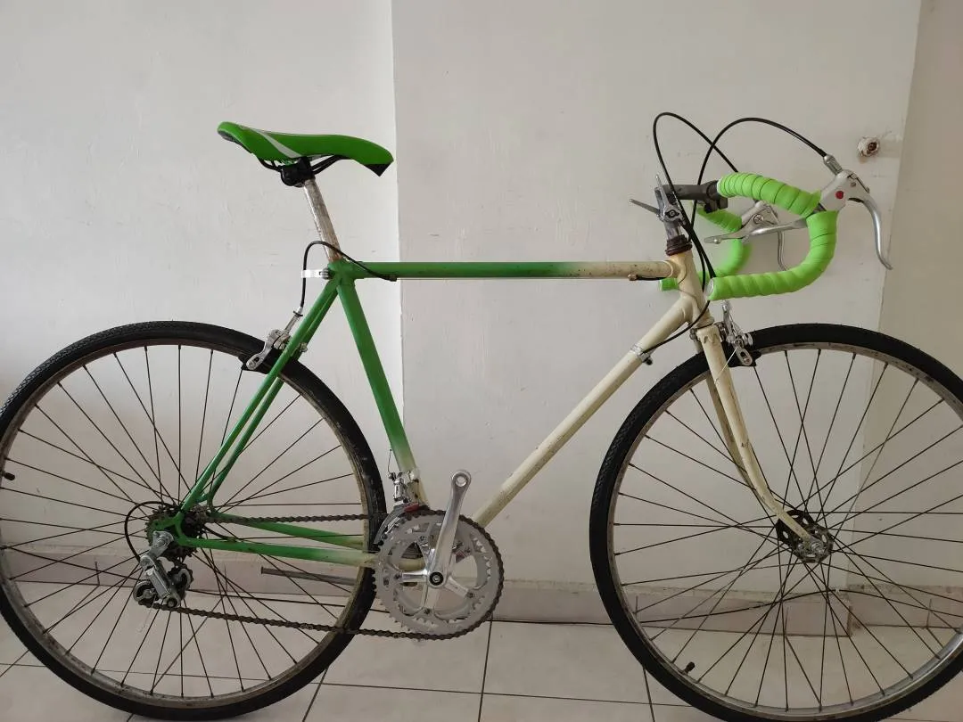 Vintage Classic Old school steel Road bike