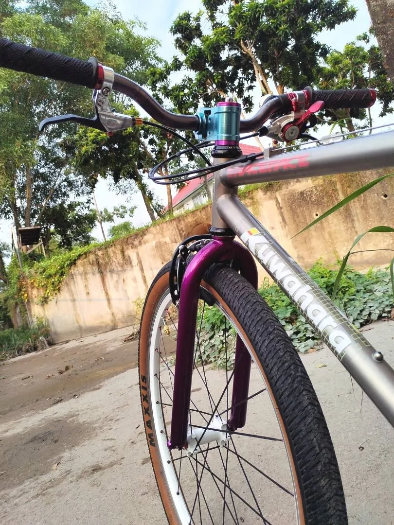 Titanium 26": Tig Titania 1992 Japan