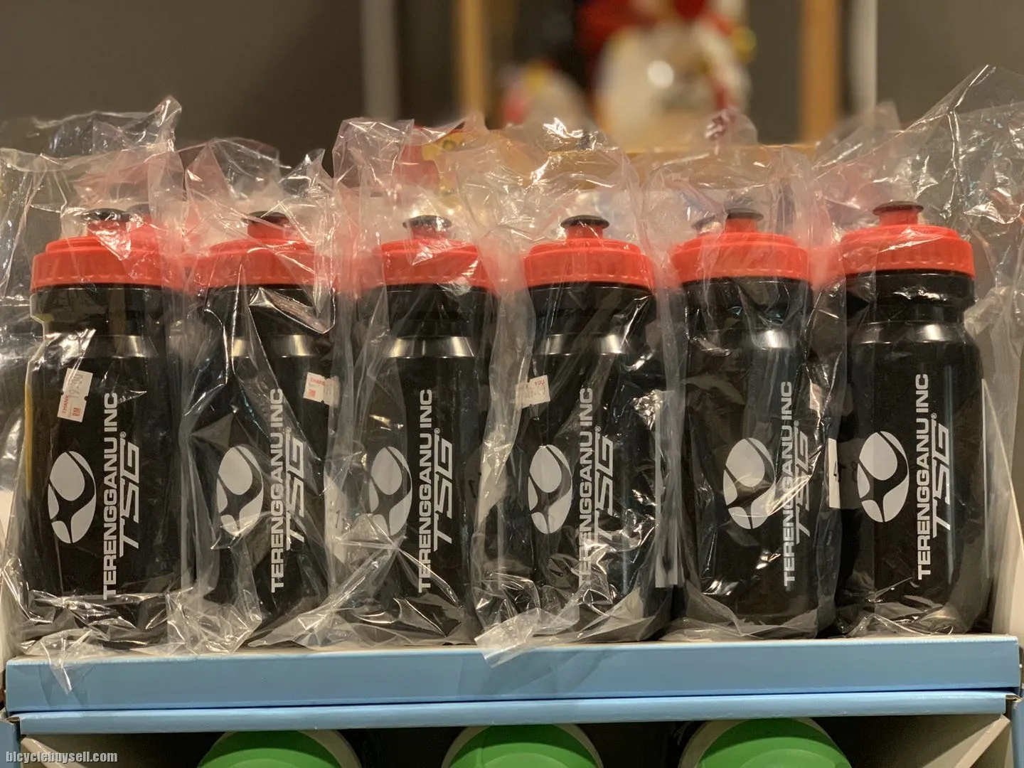 TSG X EMC WATER BOTTLE 500ML