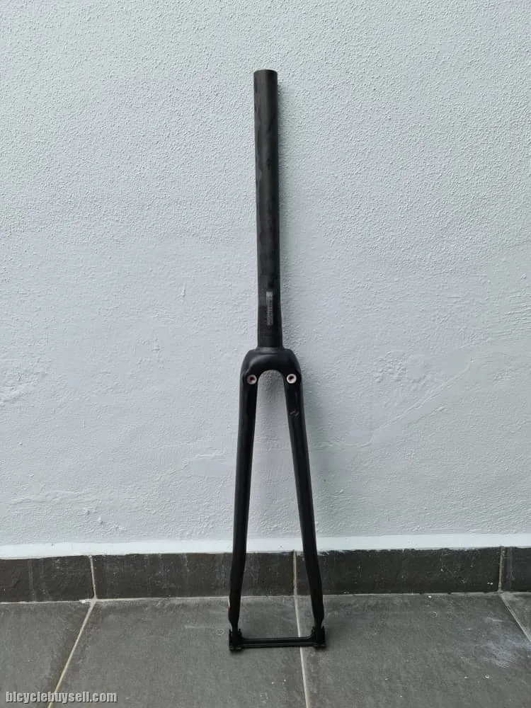 Colnago V1-R Fork