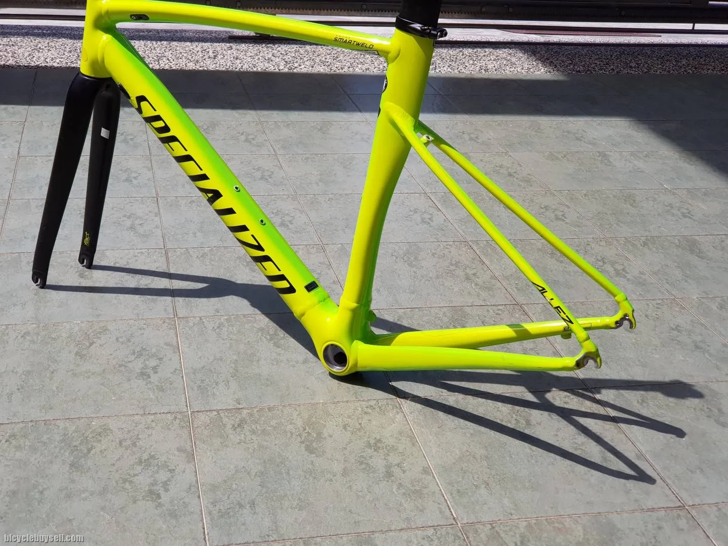 Specialized Allez Spint Frameset (54)