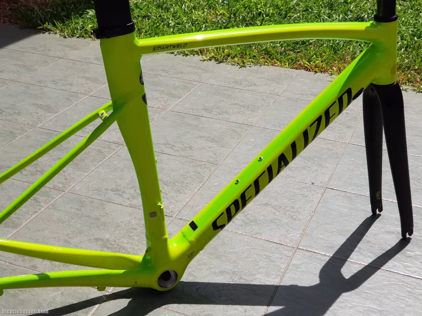 Specialized Allez Spint Frameset (54)