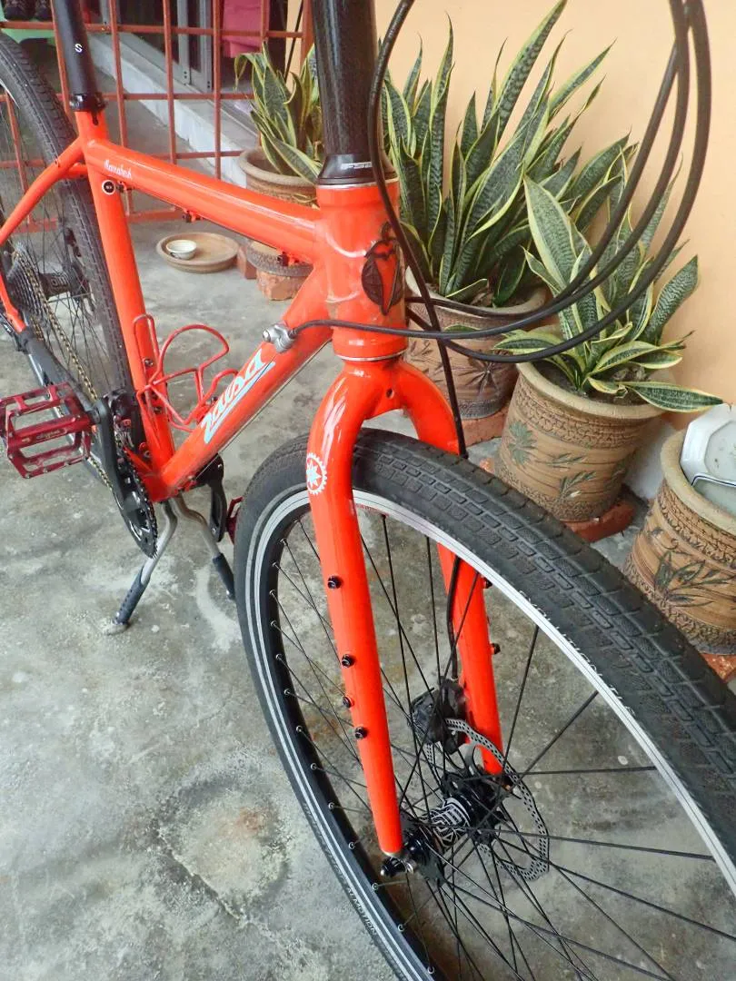 SALSA MARRAKESH. Size 52