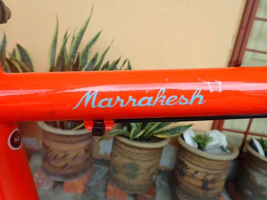 SALSA MARRAKESH. Size 52