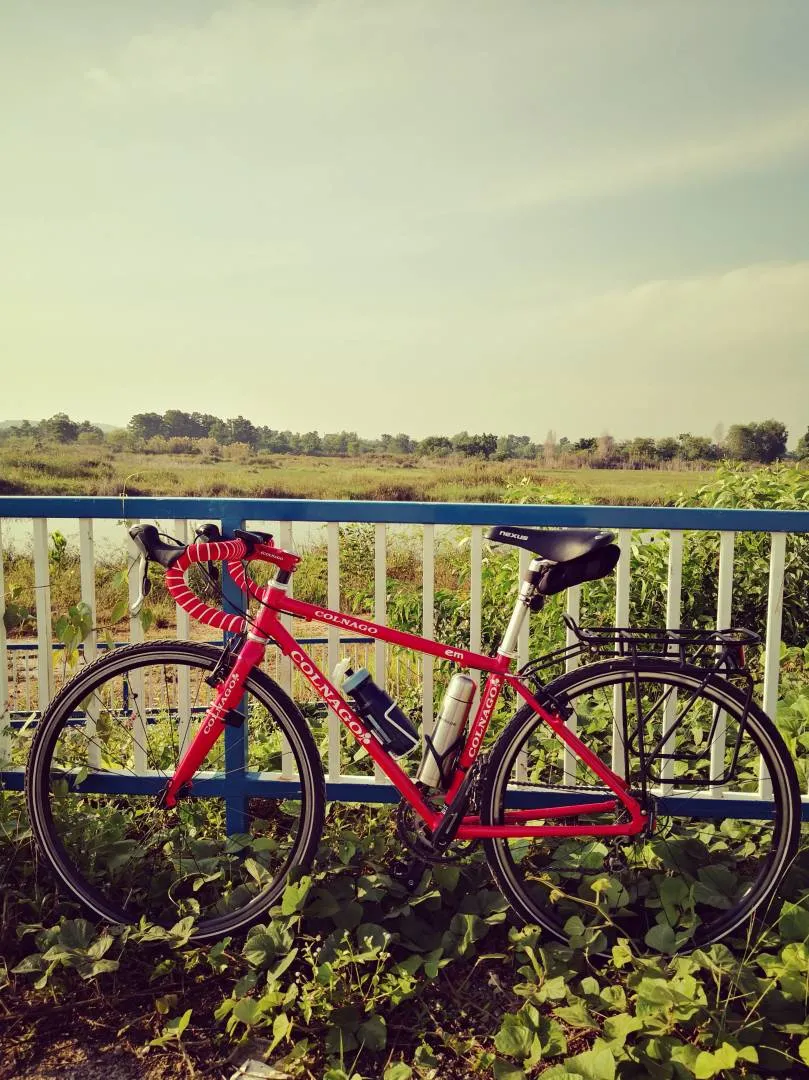 Colnago hybrid/touring