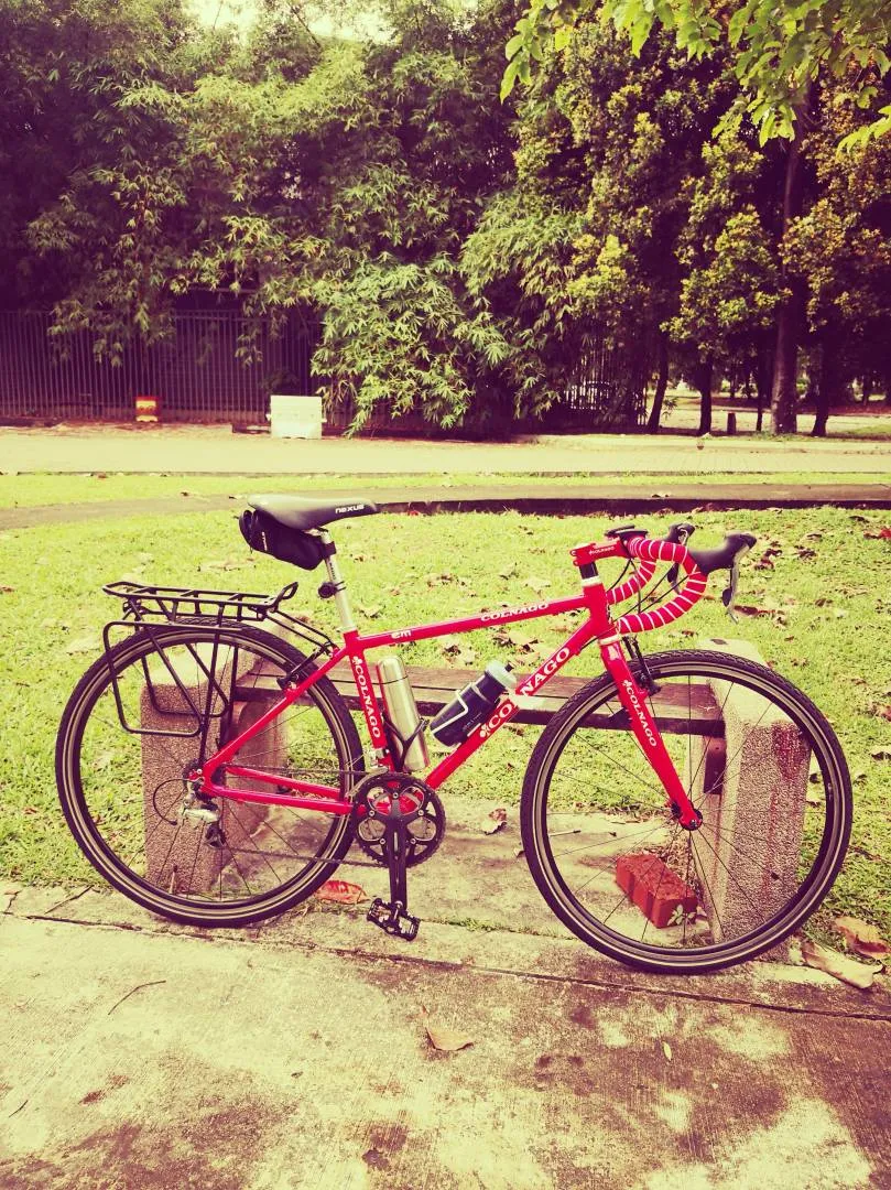 Colnago hybrid/touring