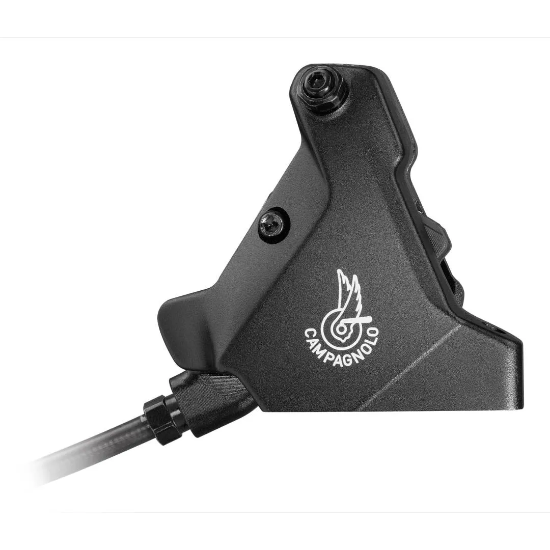 Campagnolo Record Groupset 2x12-Speed - Hydraulic Disc Brake - Flat Mount