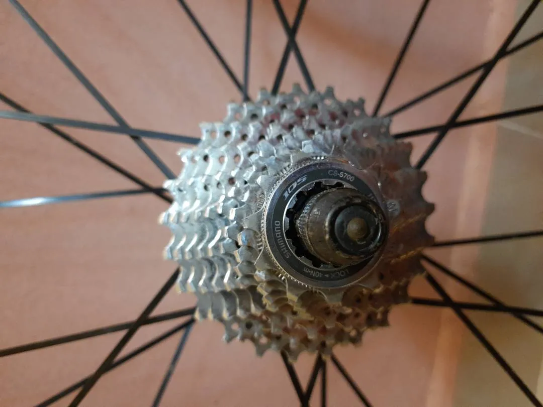 Mavic Aksium Race