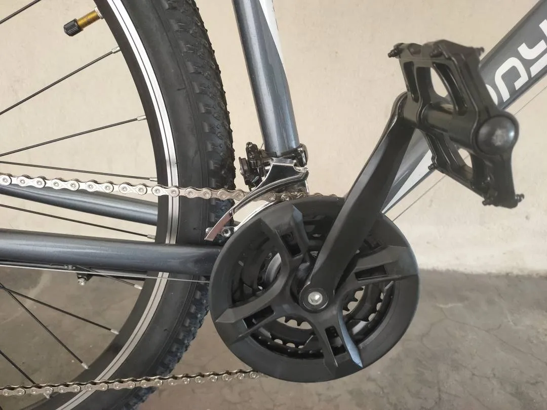 29er Gravel Touring Bike (size: Large)
