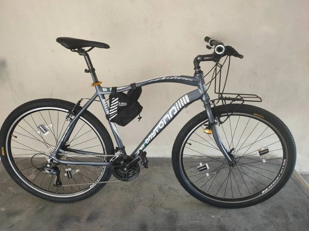 29er Gravel Touring Bike (size: Large)
