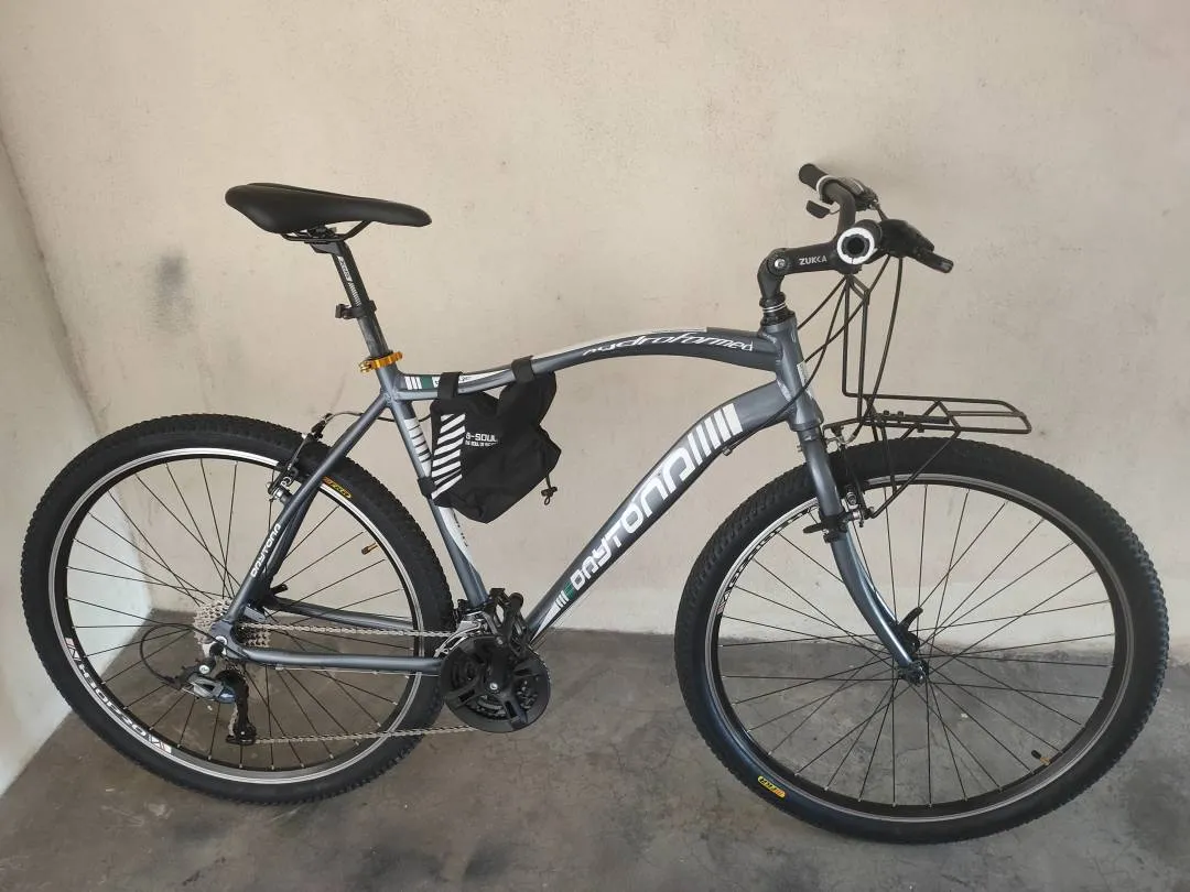 29er Gravel Touring Bike (size: Large)