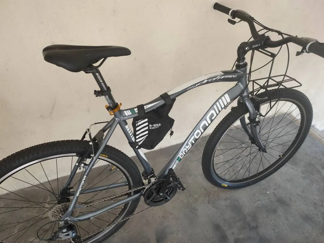 29er Gravel Touring Bike (size: Large)