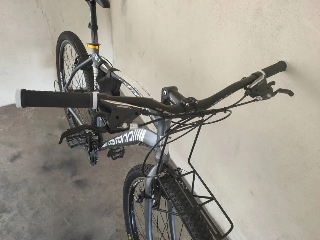 29er Gravel Touring Bike (size: Large)