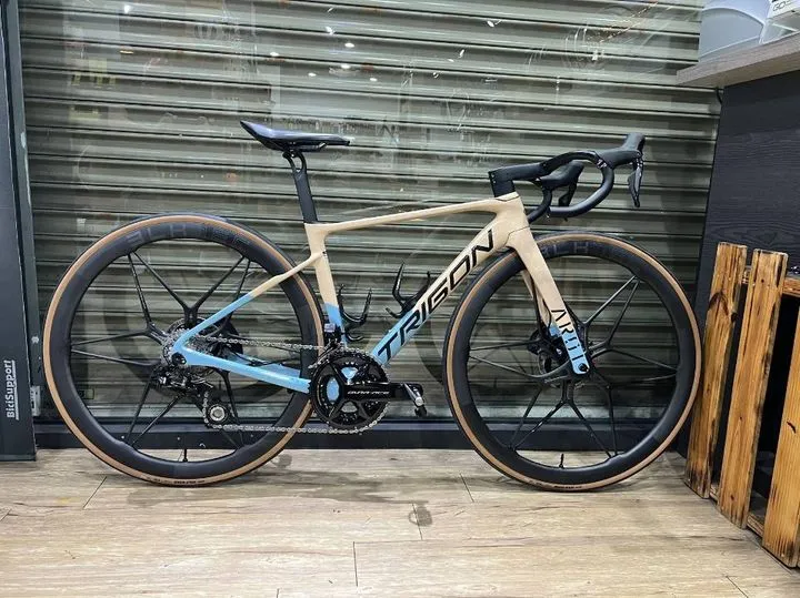 Bicycle Frame Makeover, cat, painting, spray, airbrush service