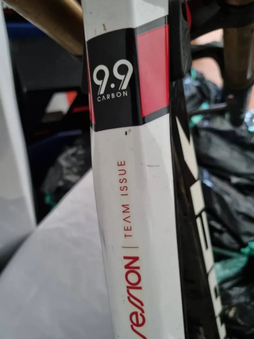 Trek Session 9.9 Frameset with Fox 40 Kashima