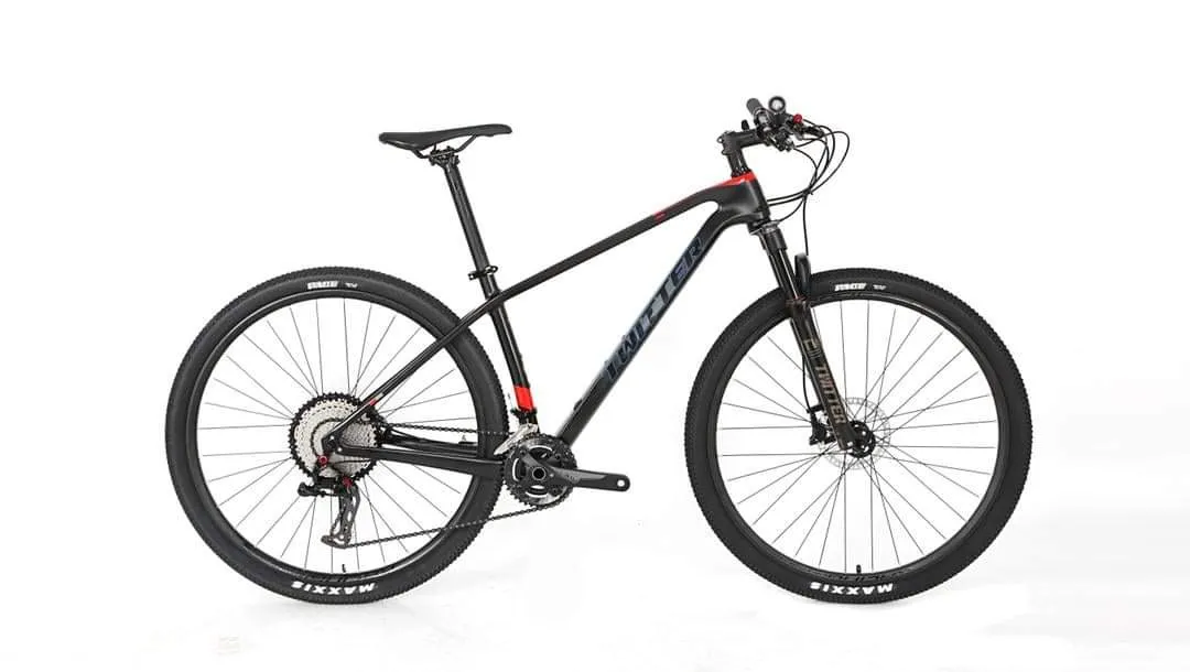 TWITTER LEOPARD PRO-RS2x12/ CARBON 29" MTB RETROSPEC 24 SPEED