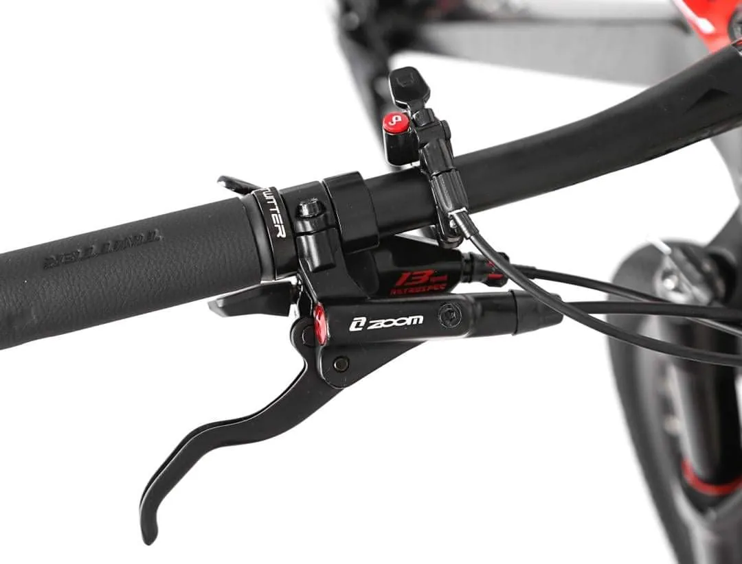 TWITTER LEOPARD PRO-RS2x12/ CARBON 29" MTB RETROSPEC 24 SPEED