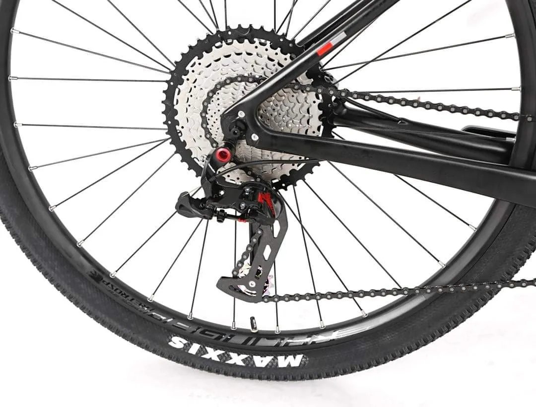 TWITTER LEOPARD PRO-RS2x12/ CARBON 29" MTB RETROSPEC 24 SPEED