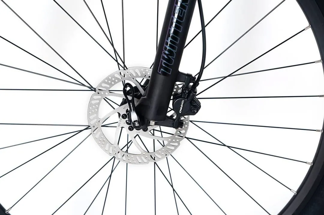 TWITTER LEOPARD PRO-RS2x12/ CARBON 29" MTB RETROSPEC 24 SPEED