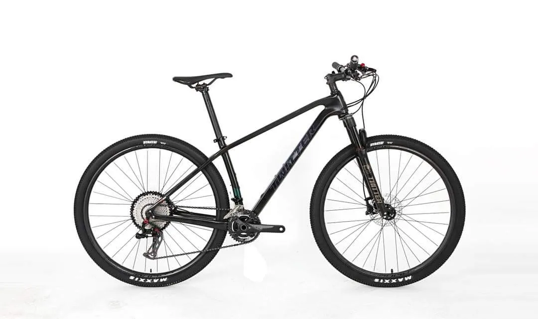 TWITTER LEOPARD PRO-RS2x12/ CARBON 29" MTB RETROSPEC 24 SPEED