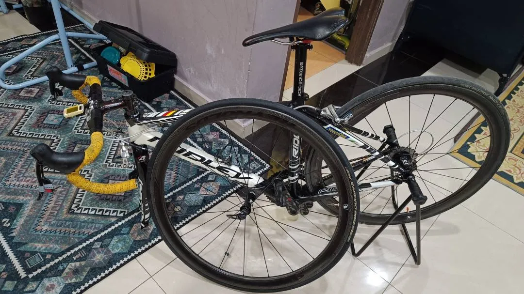 Ridley orion