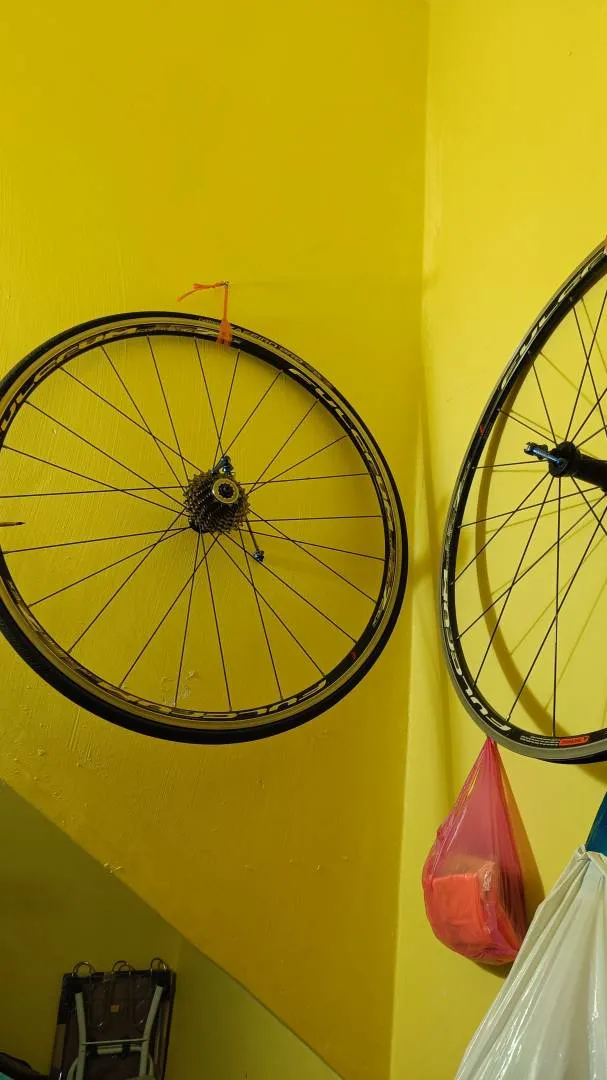 Ridley orion