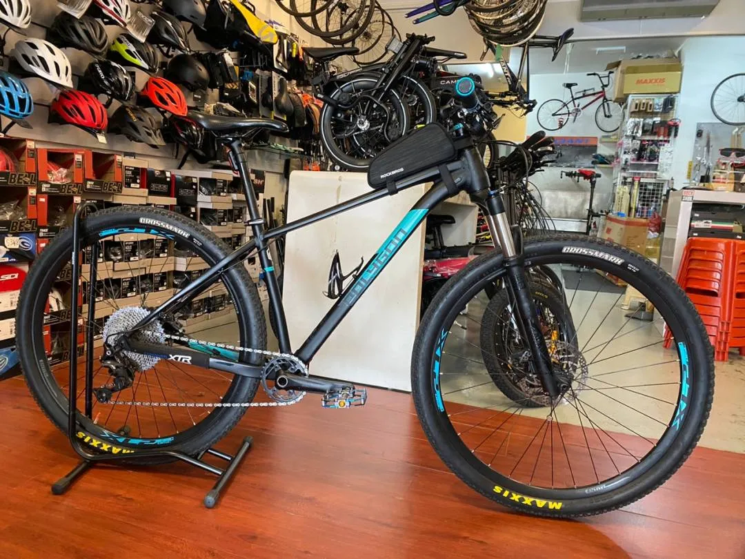 Xtrada 8 29er