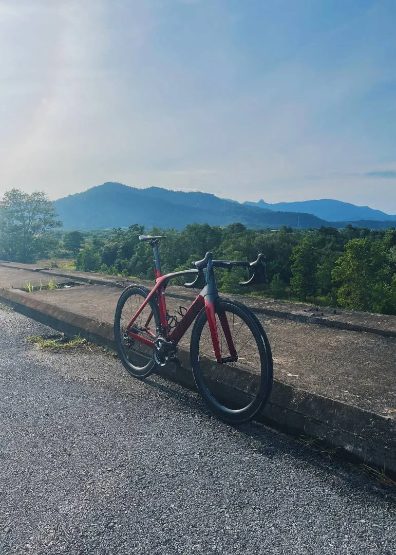 Trek Madone SLR 8 Roadbike size 56