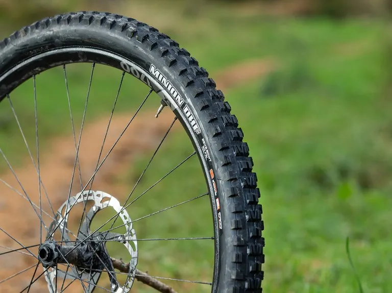 Maxxis Minion DHF 27.5 x 2.5 WT EXO/TR