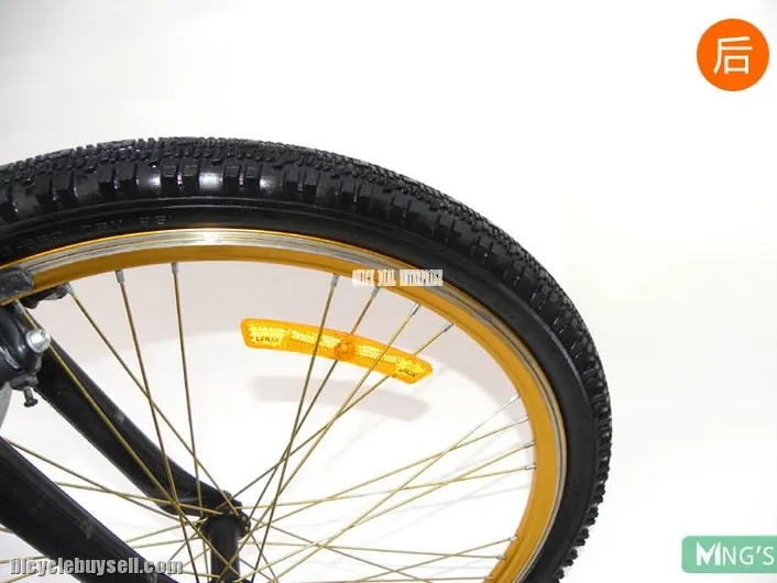 CYLION Bike Tire Polish &amp; Protectant