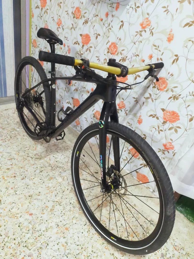 SWORKS OEM