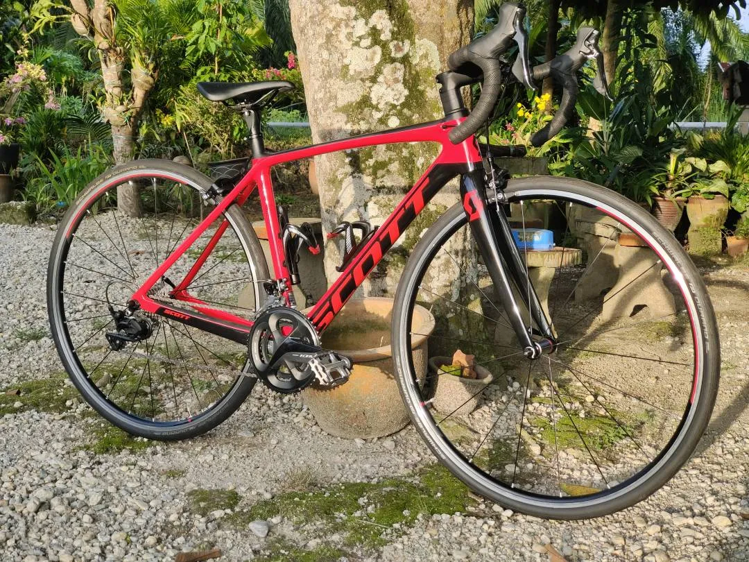 Scott Addict 20 2019