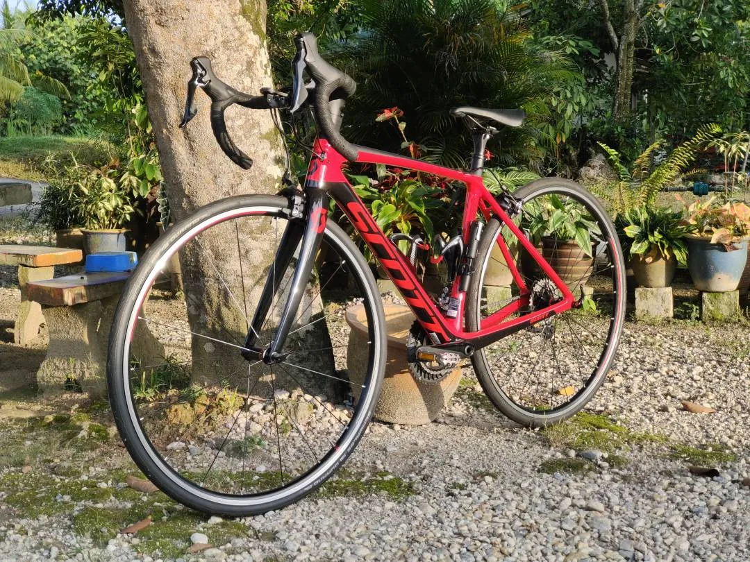 Scott Addict 20 2019
