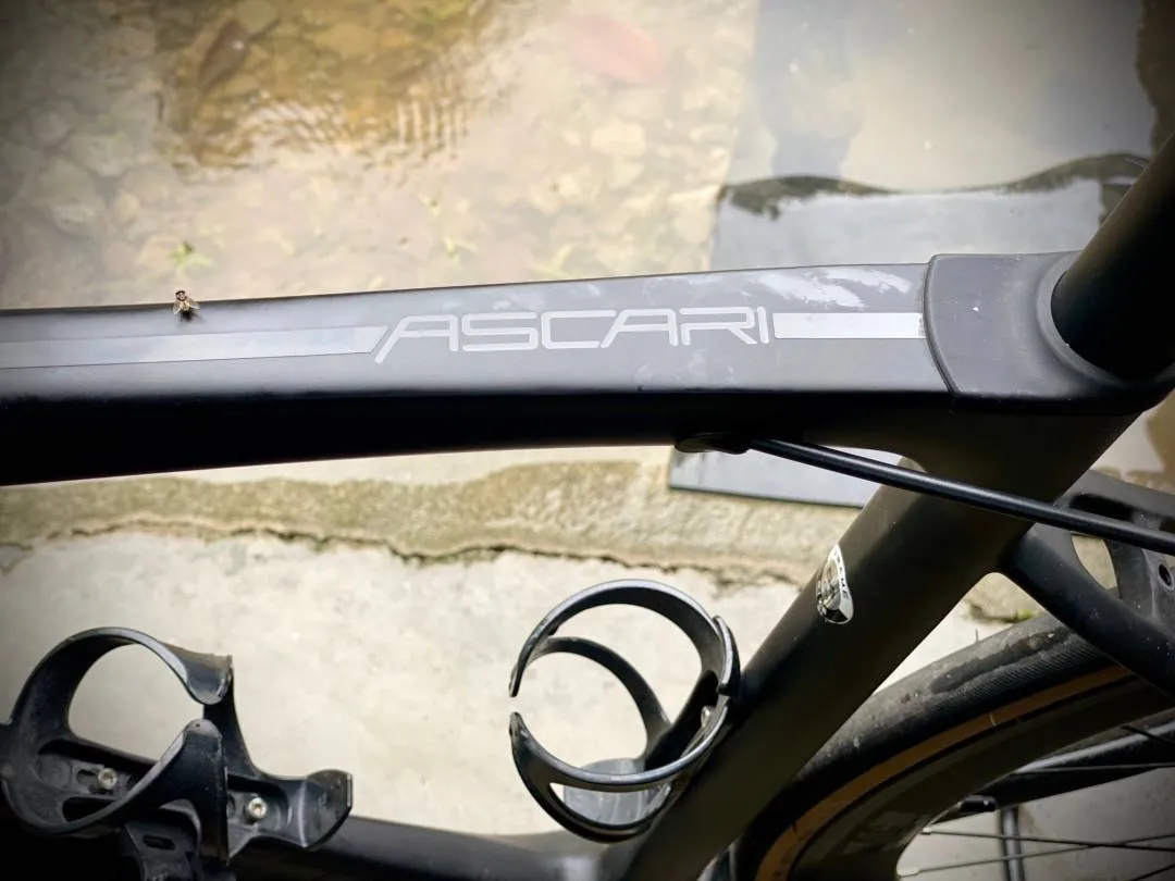Alcott ASCARI carbon frameset size 54
