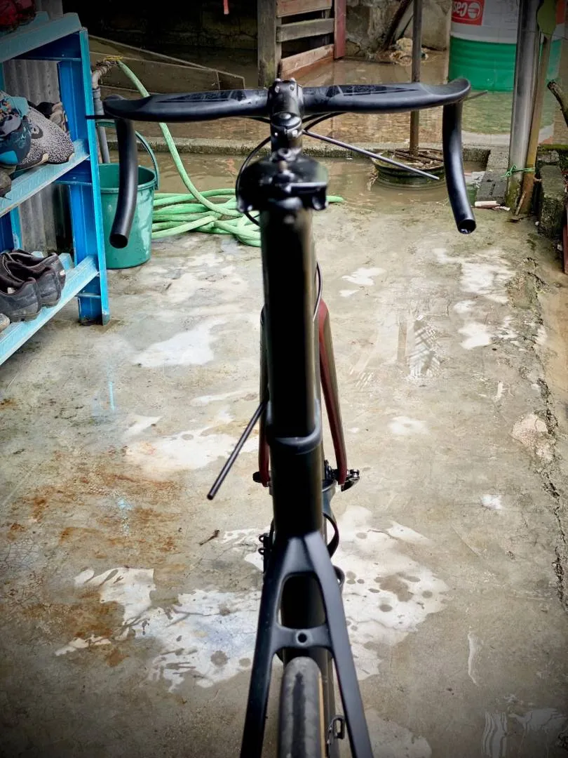 Alcott ASCARI carbon frameset size 54