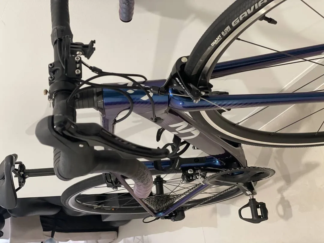 Liv Langma Advanced 2 - Chameleon Nova