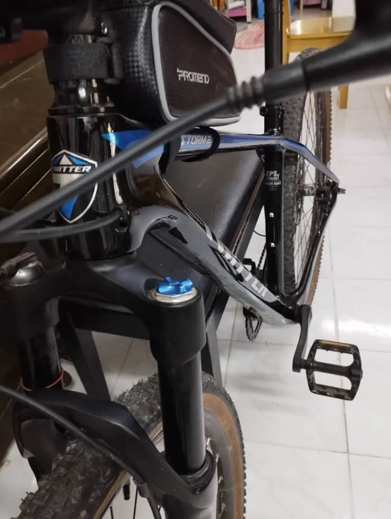 29er Twitter Storm 13 Speed Carbon Mountain Bike MTB
