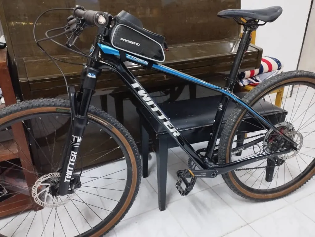 29er Twitter Storm 13 Speed Carbon Mountain Bike MTB