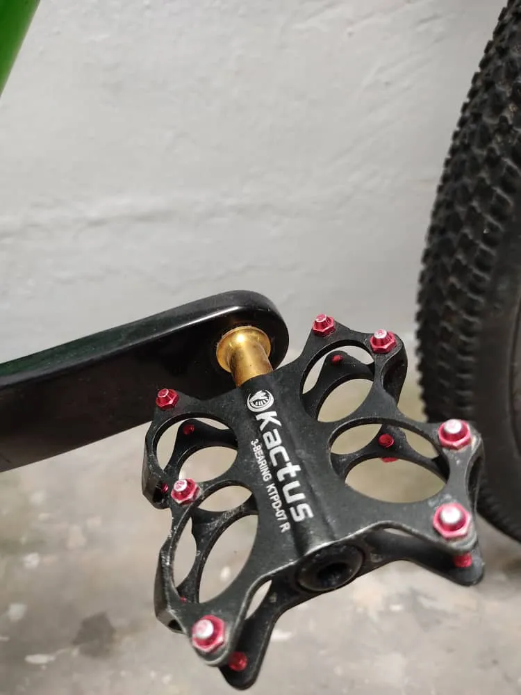 MTB XDS