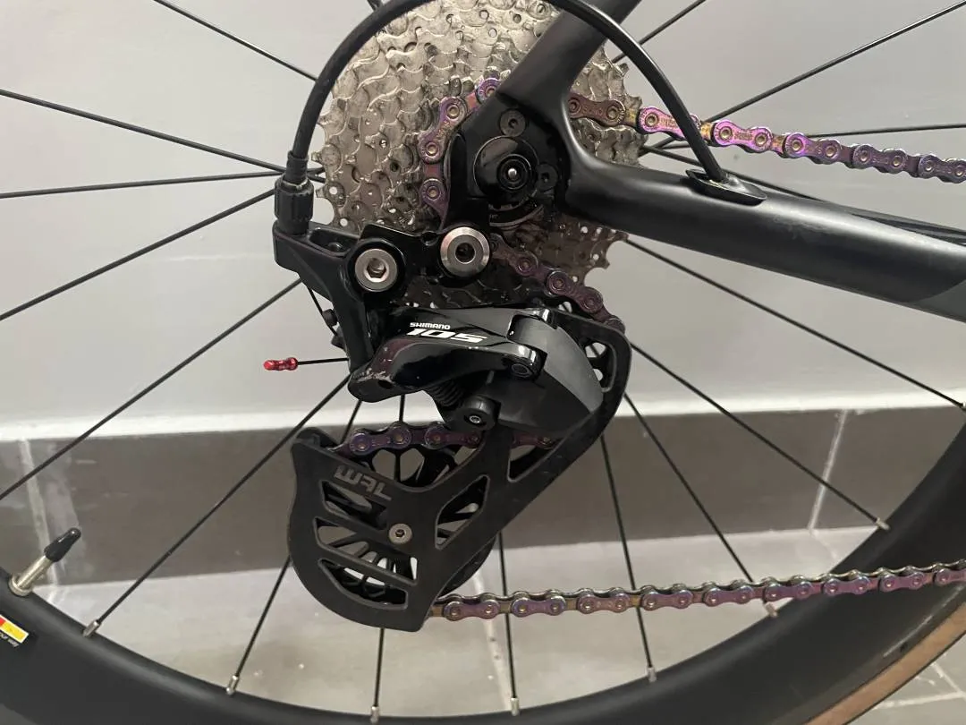 Alcott - Ascari saiz 50cm