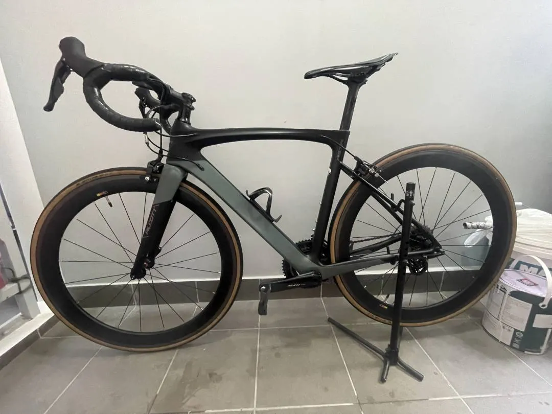 Alcott - Ascari saiz 50cm