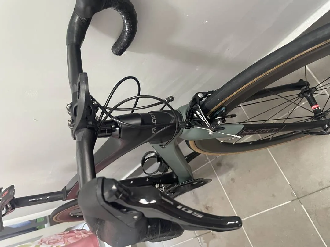 Alcott - Ascari saiz 50cm