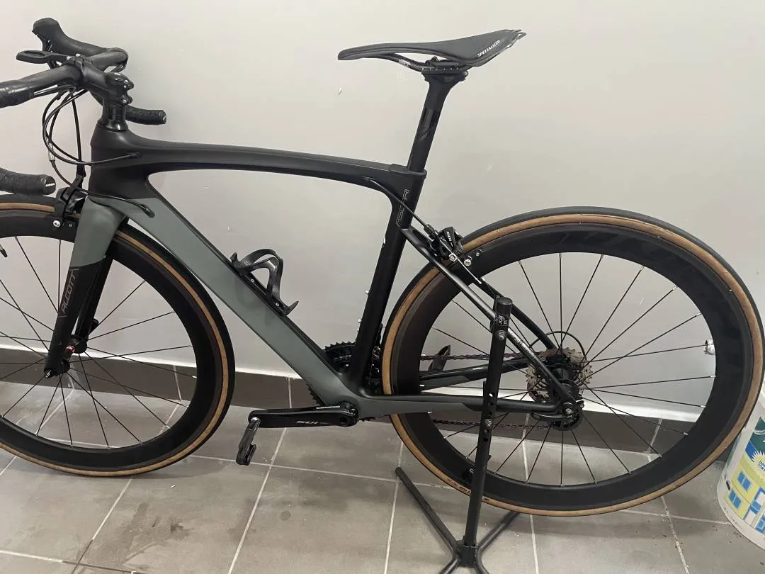 Alcott - Ascari saiz 50cm