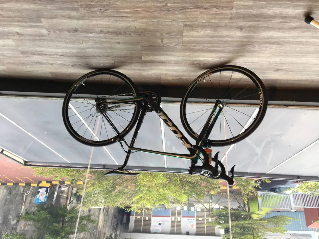 Fuji SL Team Replica