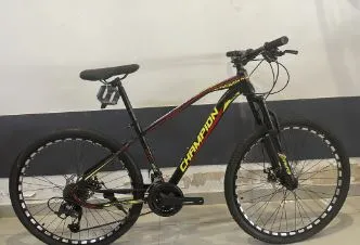 CHAMPION 27.5 MTB 24 SPEED - STEEL FRAME WITH SPECIAL WHEELSET - LAST UNIT CLEARANCE