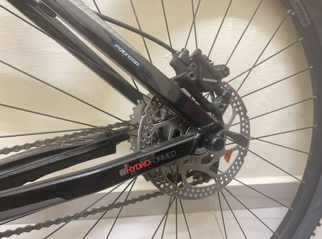 POLYGON COZMIC CX2.0