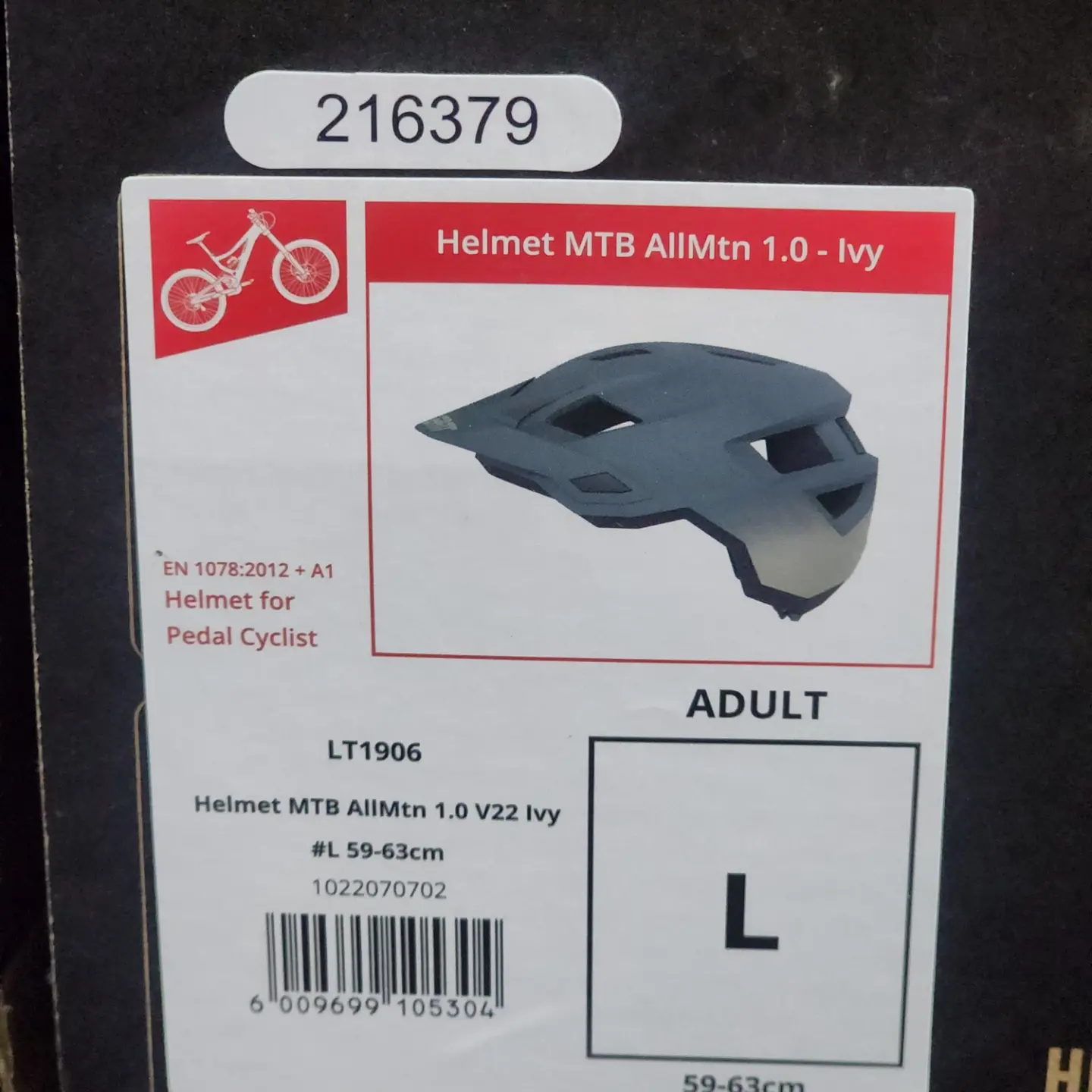 LEATT ALLMTN 1.0 V22 IVY HELMET