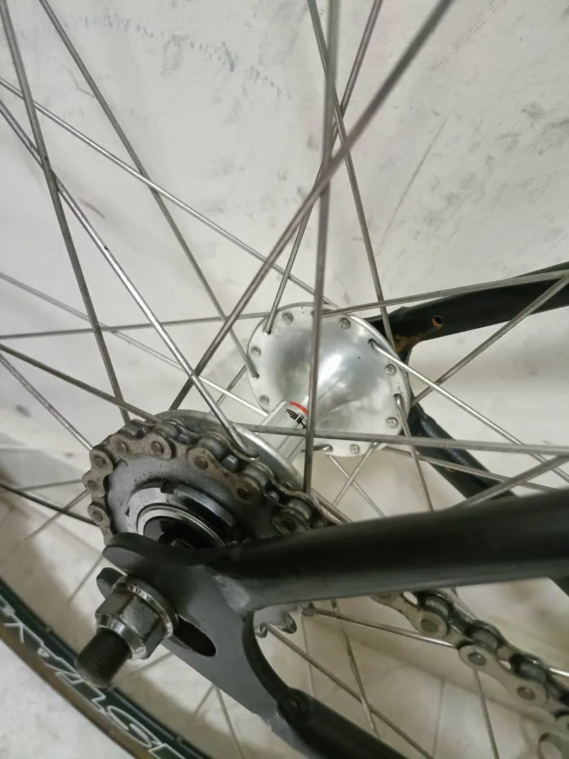 Bianchi Pista classica fixed gear